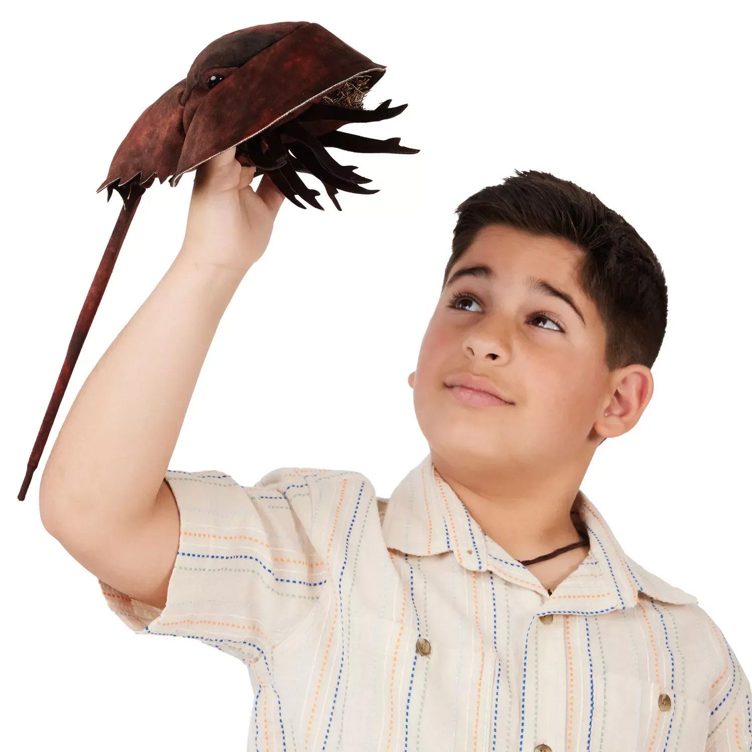 Folkmanis Handpuppen Handpuppe Folkmanis Handpuppe Horsshoe Crab / Pfeilschwanzkrebs 3218 (Packung)