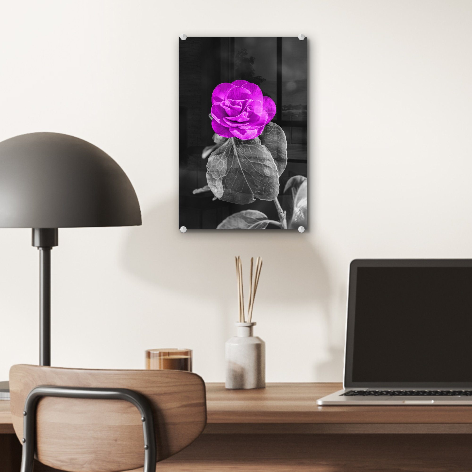 Lila - Wandbild - - Wanddekoration auf Rose - Acrylglasbild bunt Bilder Glasbilder Weiß, Glas Schwarz St), Glas MuchoWow Foto auf - Blumen - (1 -