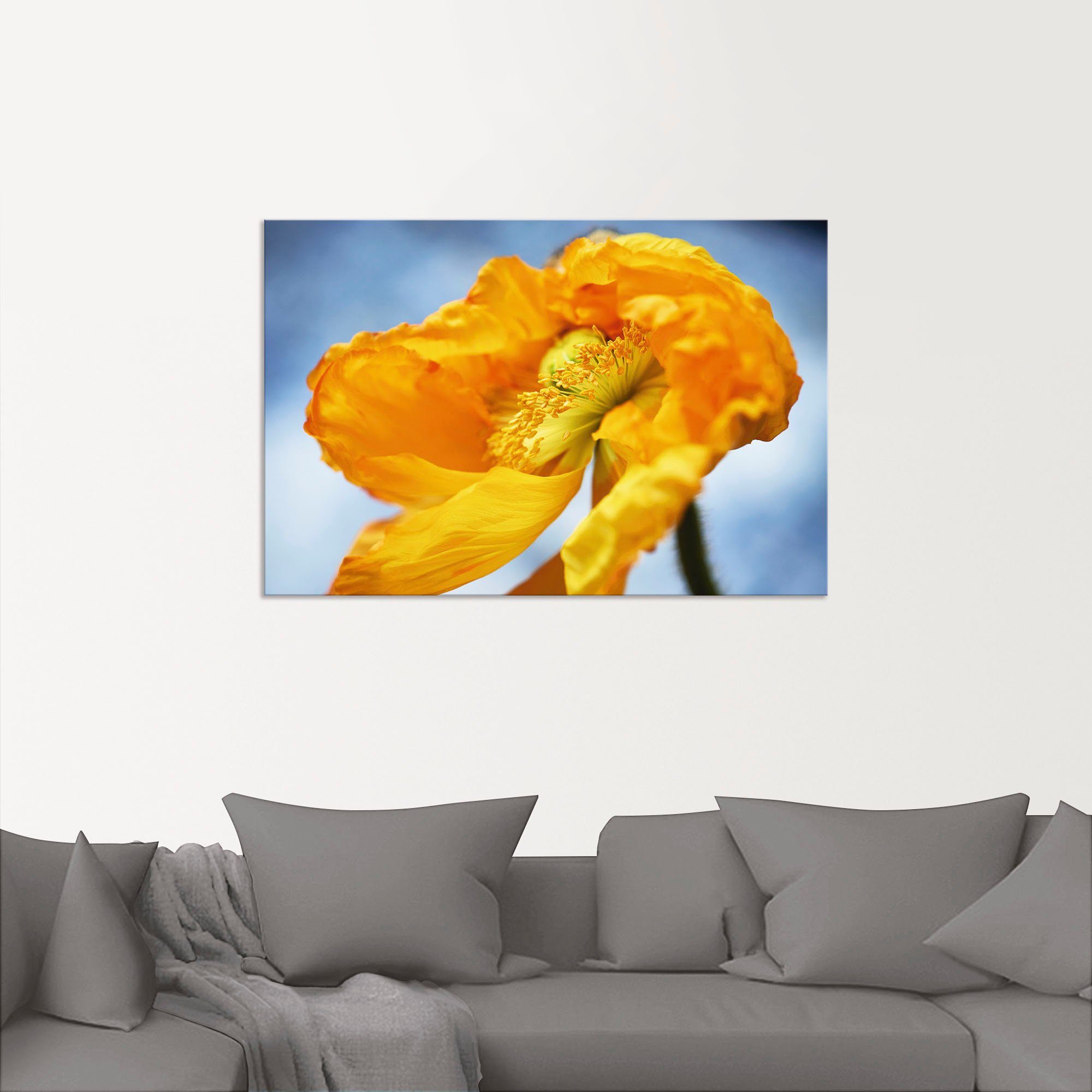 Gelbe Blumenbilder Wandaufkleber St), Wandbild (1 oder Mohnblüte, Größen Poster versch. Alubild, Leinwandbild, in Artland als