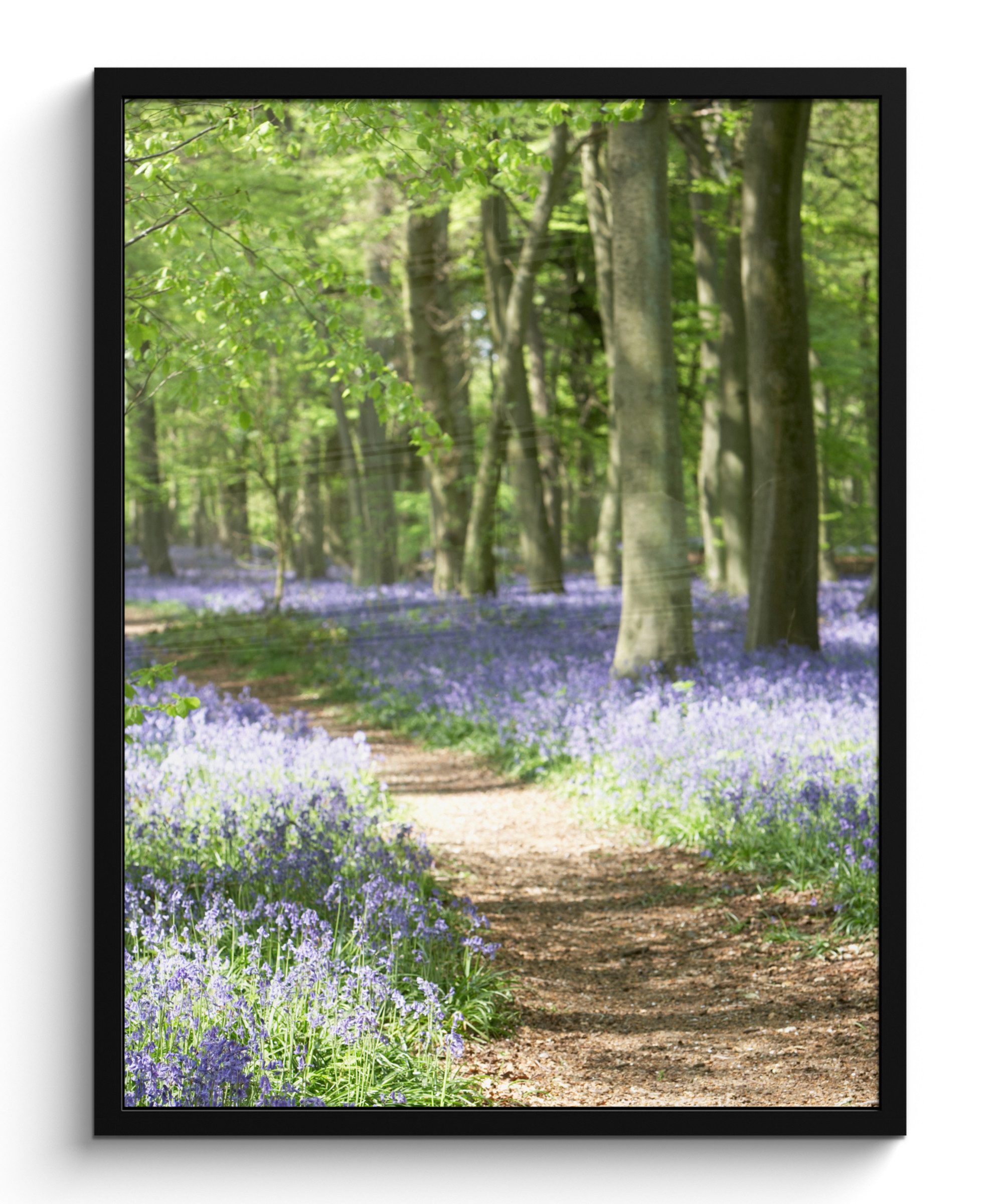 MuchoWow Poster Wald - Weg - Blumen - Lila - Grün - Natur, (1 St), Bilderrahmen, Poster mit Rahmen, Wohnzimmer Deko, 50x70 cm