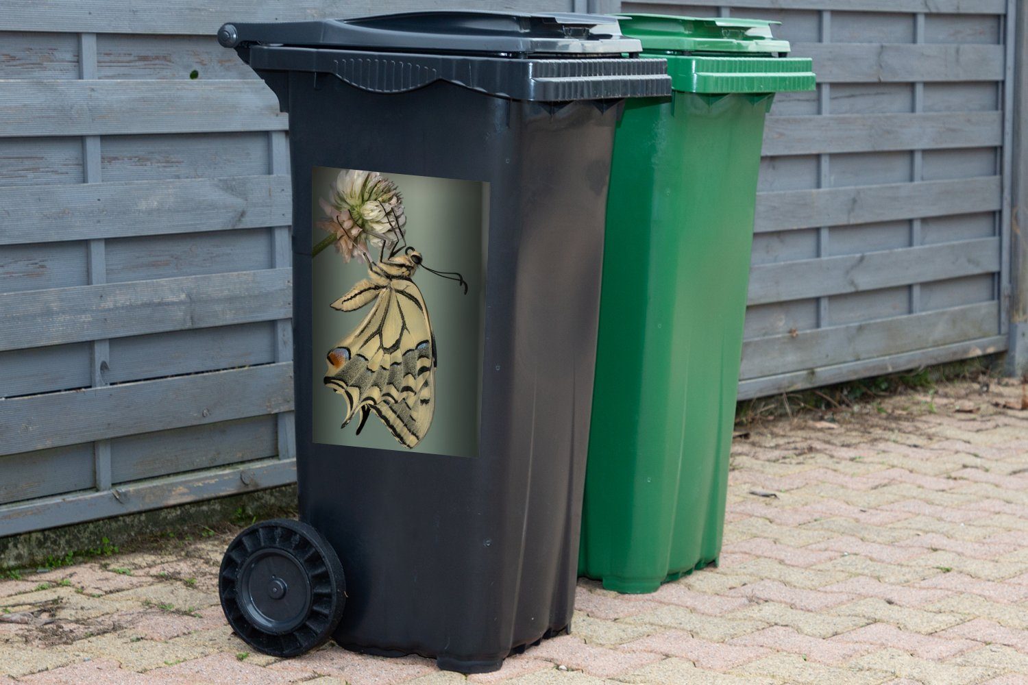 (1 St), Mülltonne, Nahaufnahme Sticker, Mülleimer-aufkleber, Wandsticker MuchoWow eines Container, Abfalbehälter Schwalbenschwanz-Schmetterlings