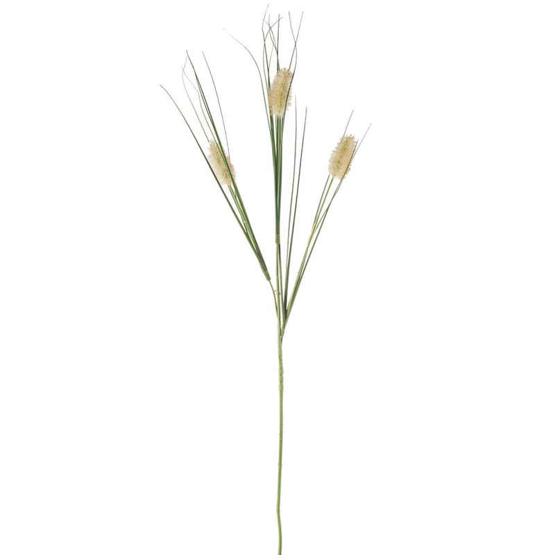 Kunstblume Künstliches Hasenschwanzgras mit Blüten grün 85 cm Gras, matches21 HOME & HOBBY, Höhe 85 cm