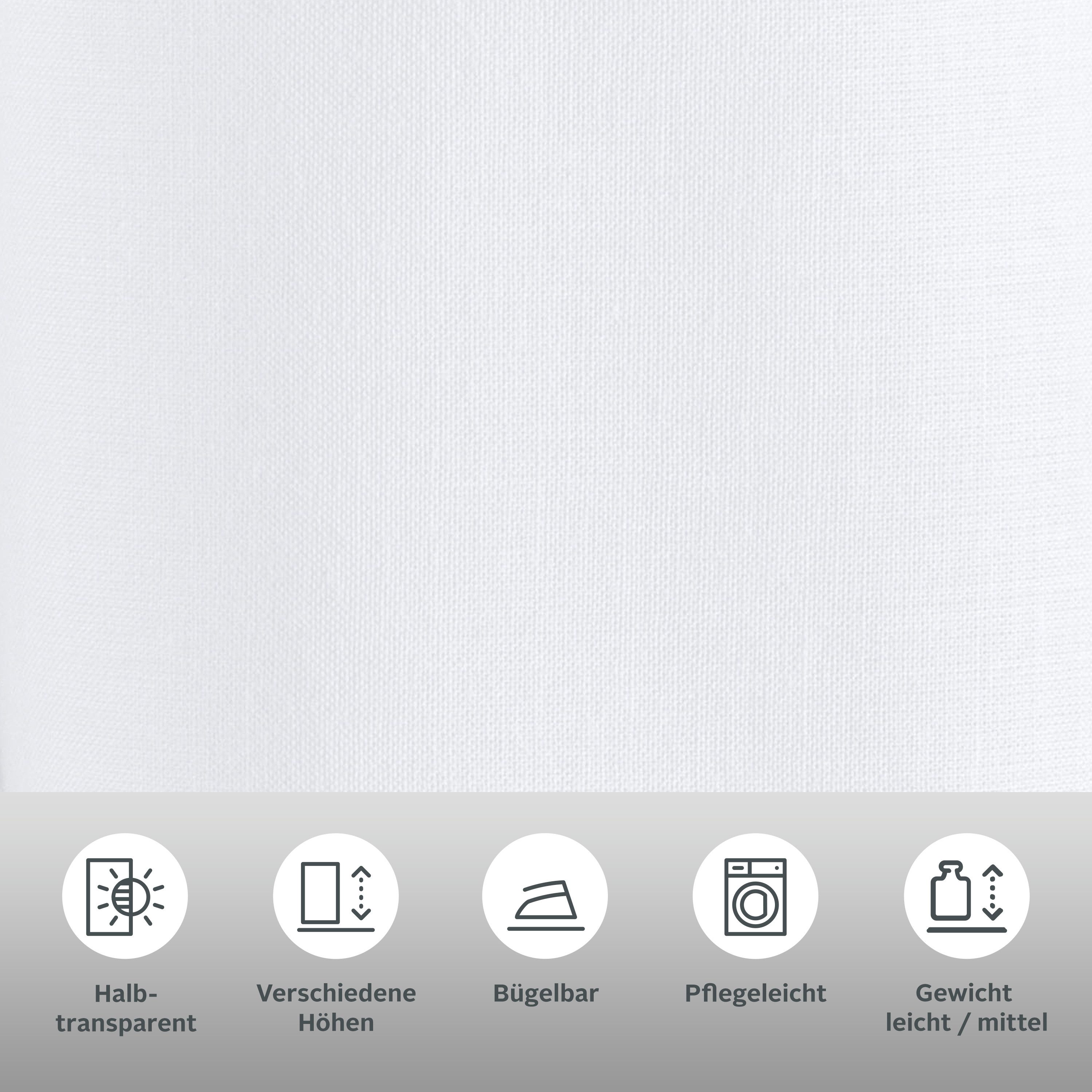 OTTO home Scheibengardine Louis (1 St), Stangendurchzug, halbtransparent, halbtransparent, einseitig bedruckt