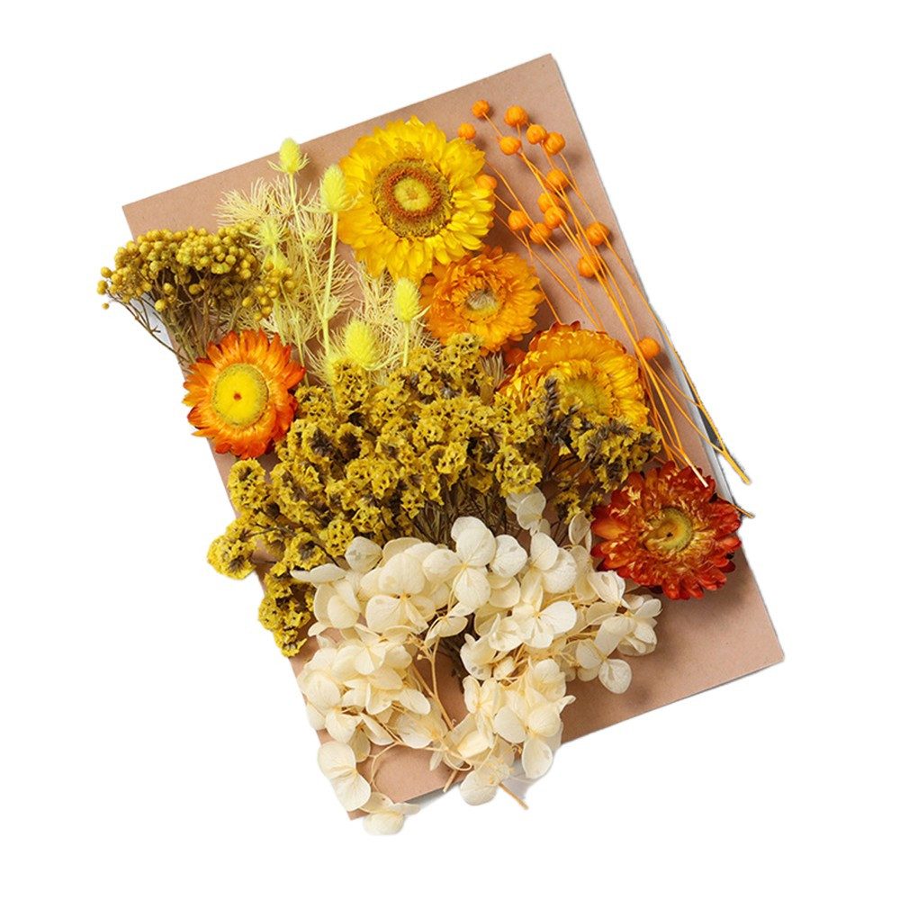 Trockenblume Pampasgras Zum Basteln Mini Trockenblumen, günstig online kaufen