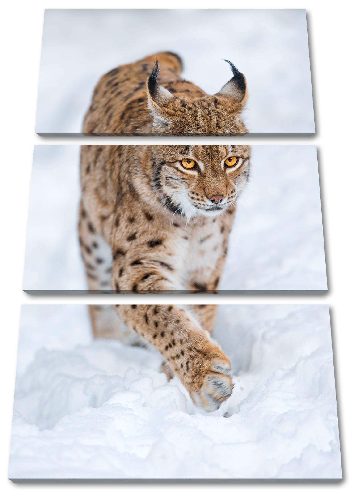Pixxprint Leinwandbild Luchs im Schnee, Luchs im Schnee 3Teiler (120x80cm) (1 St), Leinwandbild fertig bespannt, inkl. Zackenaufhänger