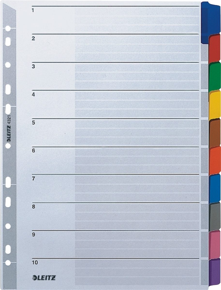 LEITZ Aktenordner Register A4 blanko 10-teilig 160g/qm grau