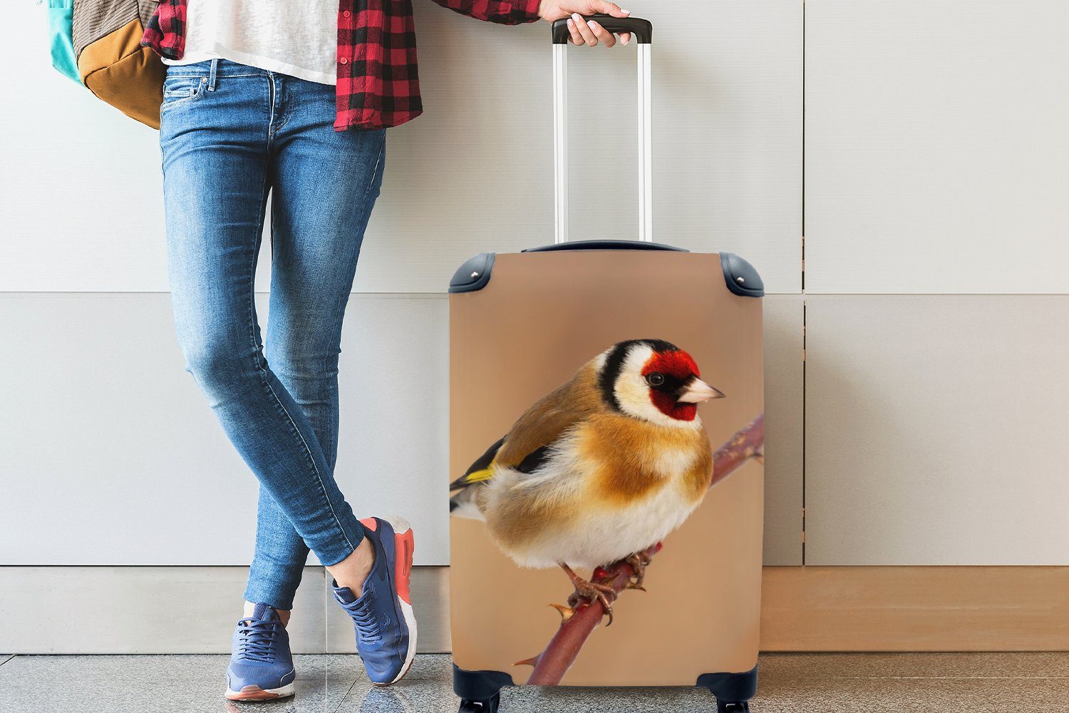 - Reisekoffer MuchoWow Reisetasche 4 Handgepäckkoffer Trolley, Kropftaube Rollen, Vogel Handgepäck - mit Ferien, für Tiere, rollen,