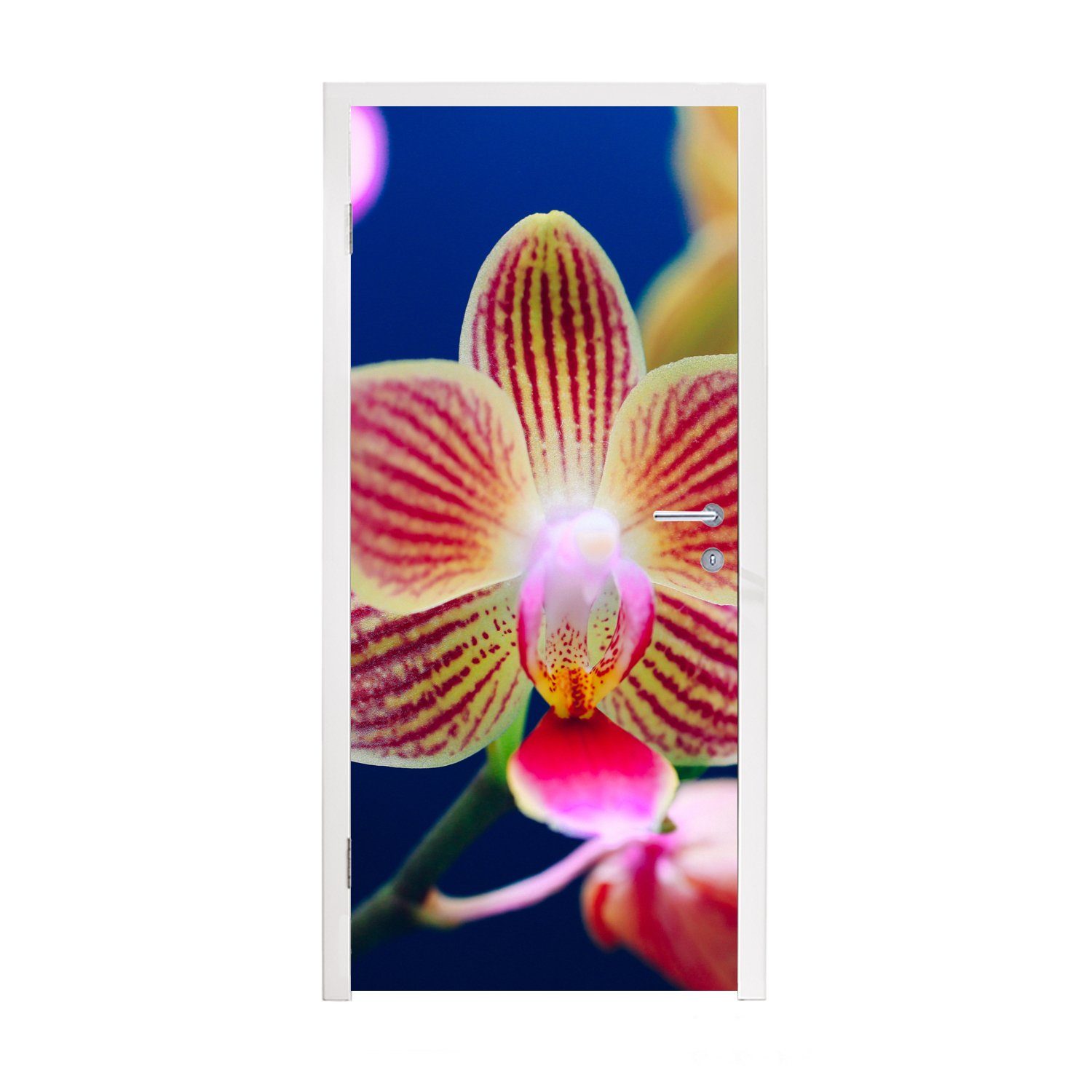Orchidee, Türaufkleber, St), MuchoWow cm Fototapete Tür, für (1 Von Matt, bedruckt, 75x205 Türtapete