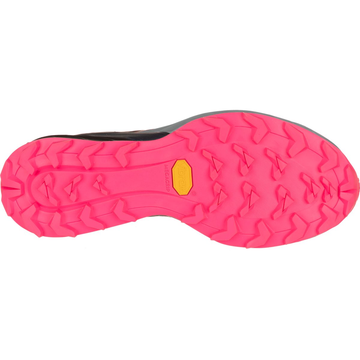 Dynafit Trail-Running-Schuh Alpine (Damen) – DynaFit Outdoorschuh