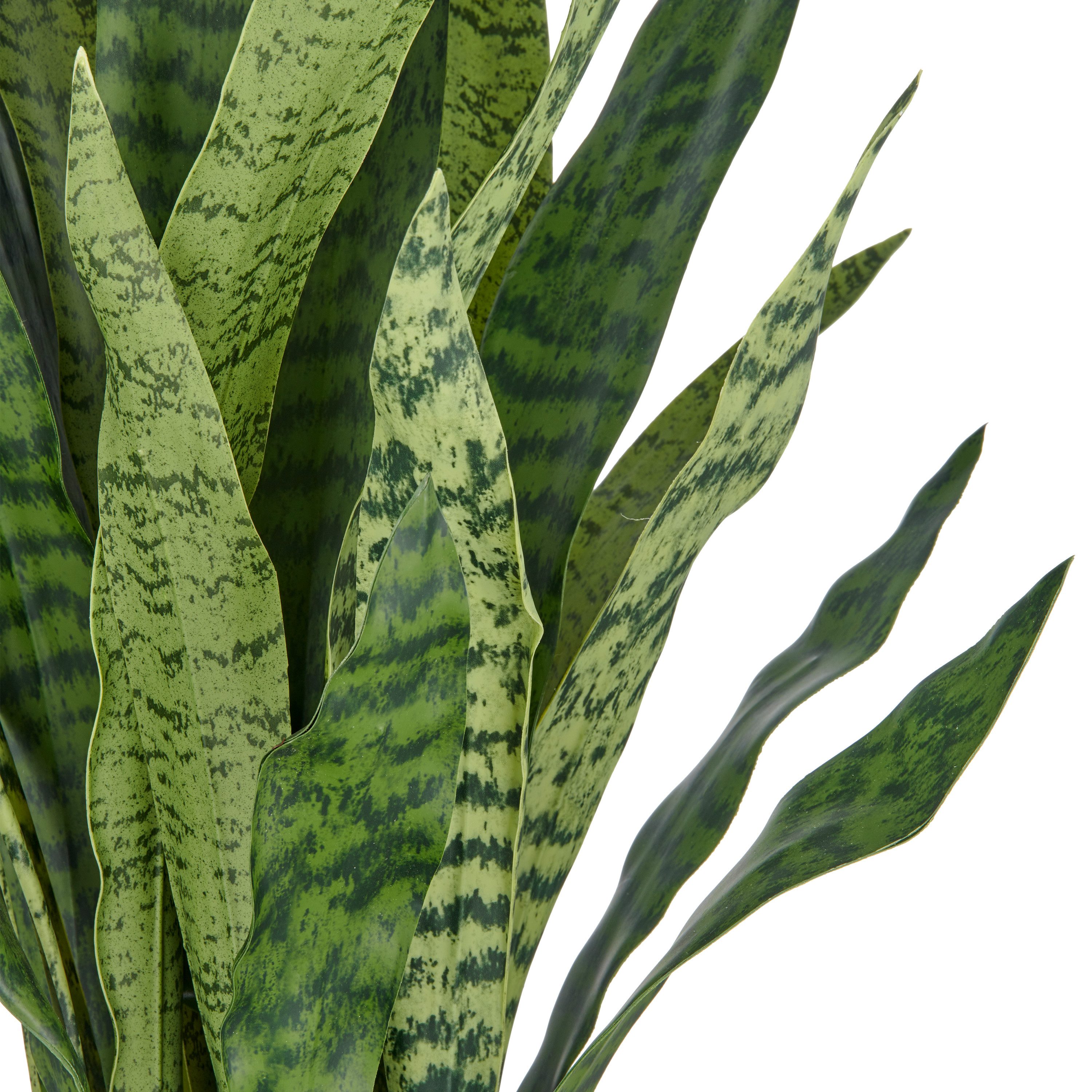 Kunstpflanze Sansevieria zeylanica, Creativ green, Höhe 90 cm, im eleganten günstig online kaufen