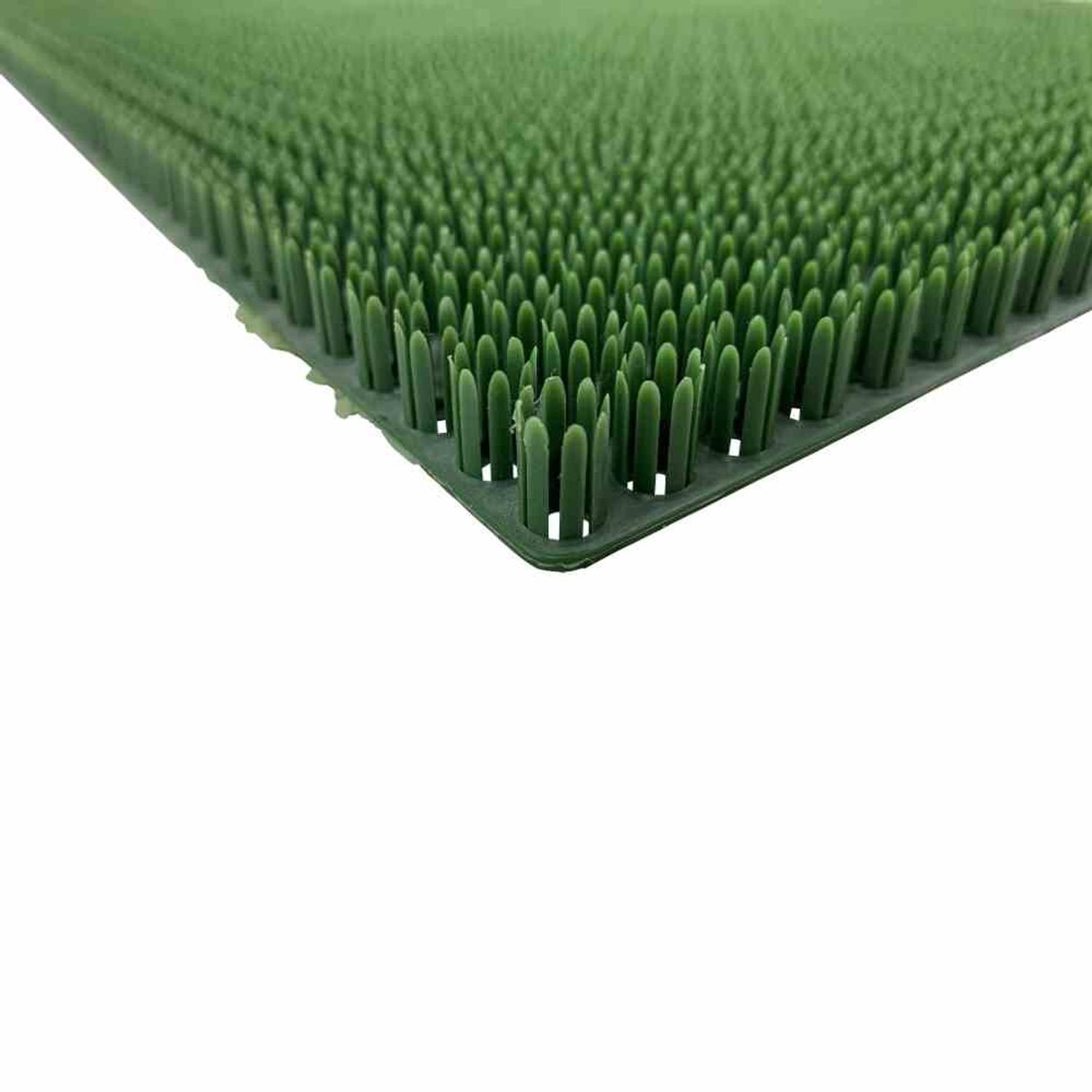 Siena Home Fußmatte Grasmatte Tropic 40x60cm grün Fußmatte Schmutzfangmatte Fußmatte