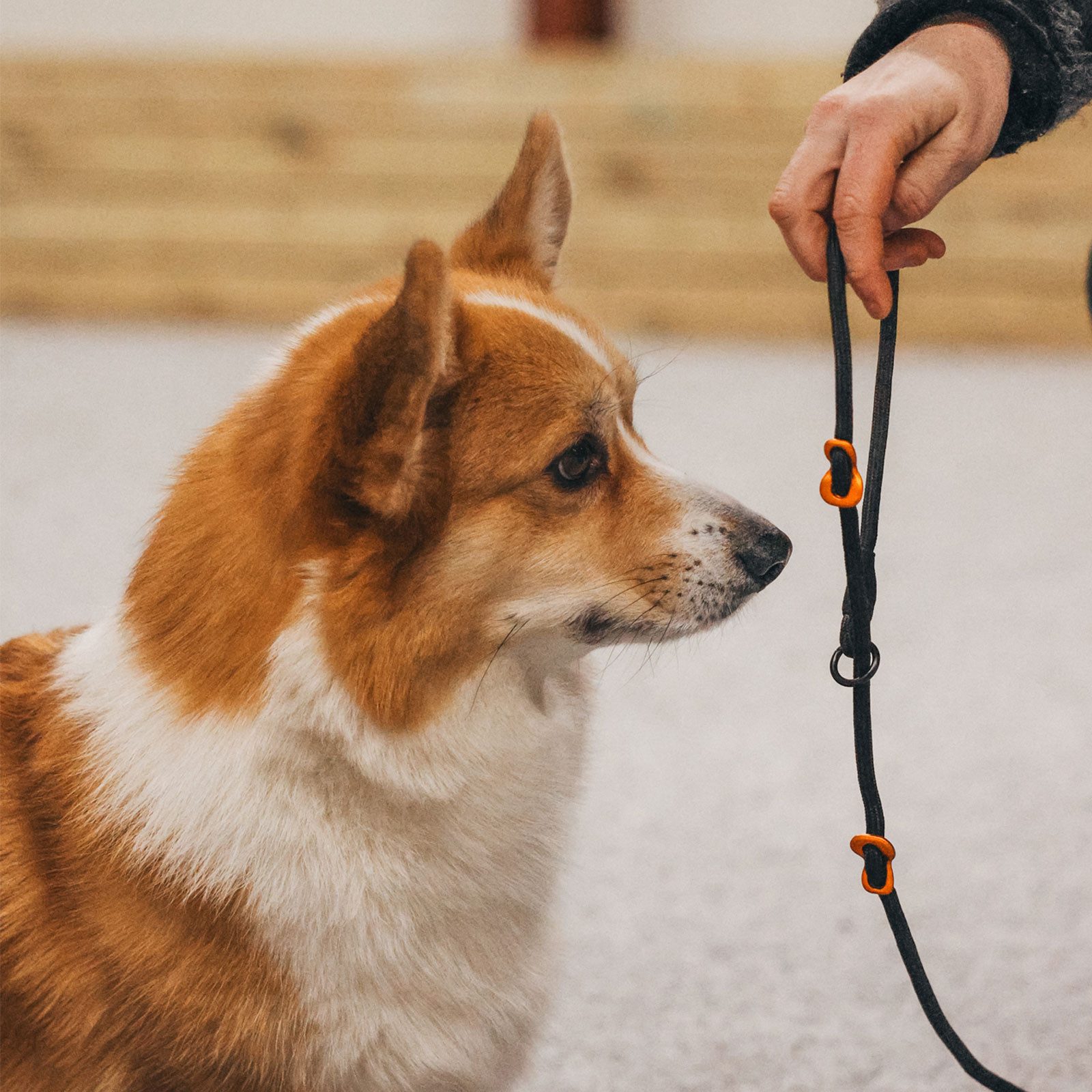 Non-stop dogwear Hundeleine Retriever Leash schwarz, 6 oder 8mm mit zwei Stoppern