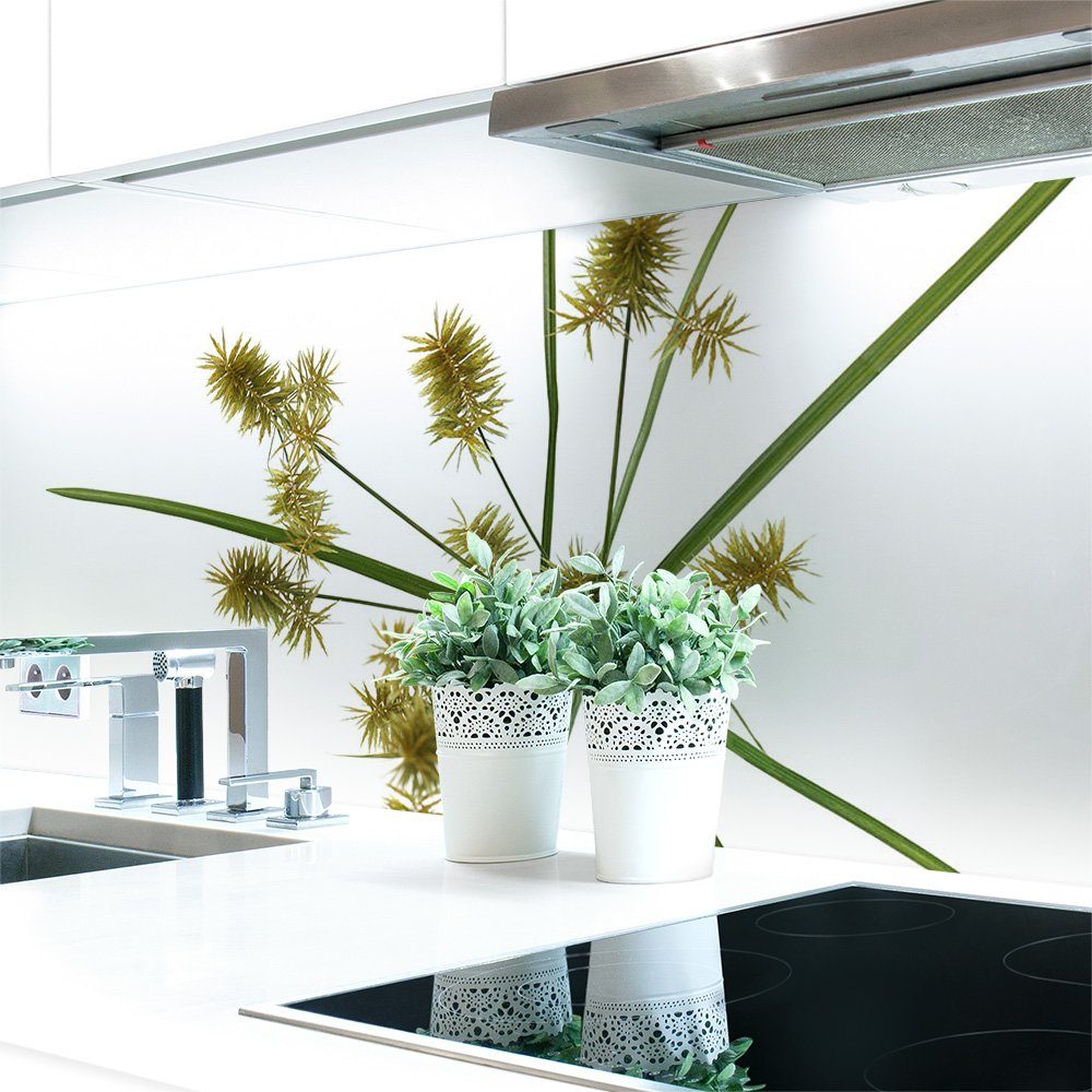 DRUCK-EXPERT Küchenrückwand Küchenrückwand Cyperus Blume Premium Hart-PVC 0,4 mm selbstklebend