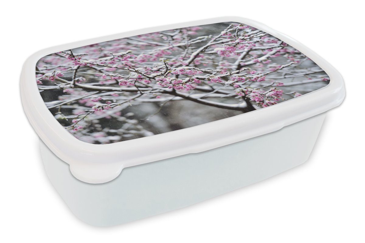 MuchoWow Lunchbox Nahaufnahme einer verschneiten Sakura, Kunststoff, (2-tlg), Brotbox für Kinder und Erwachsene, Brotdose, für Jungs und Mädchen weiß