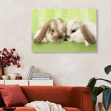 Posterlounge XXL-Wandbild Greg Cuddiford, Zwei Kaninchen, Mädchenzimmer Kindermotive