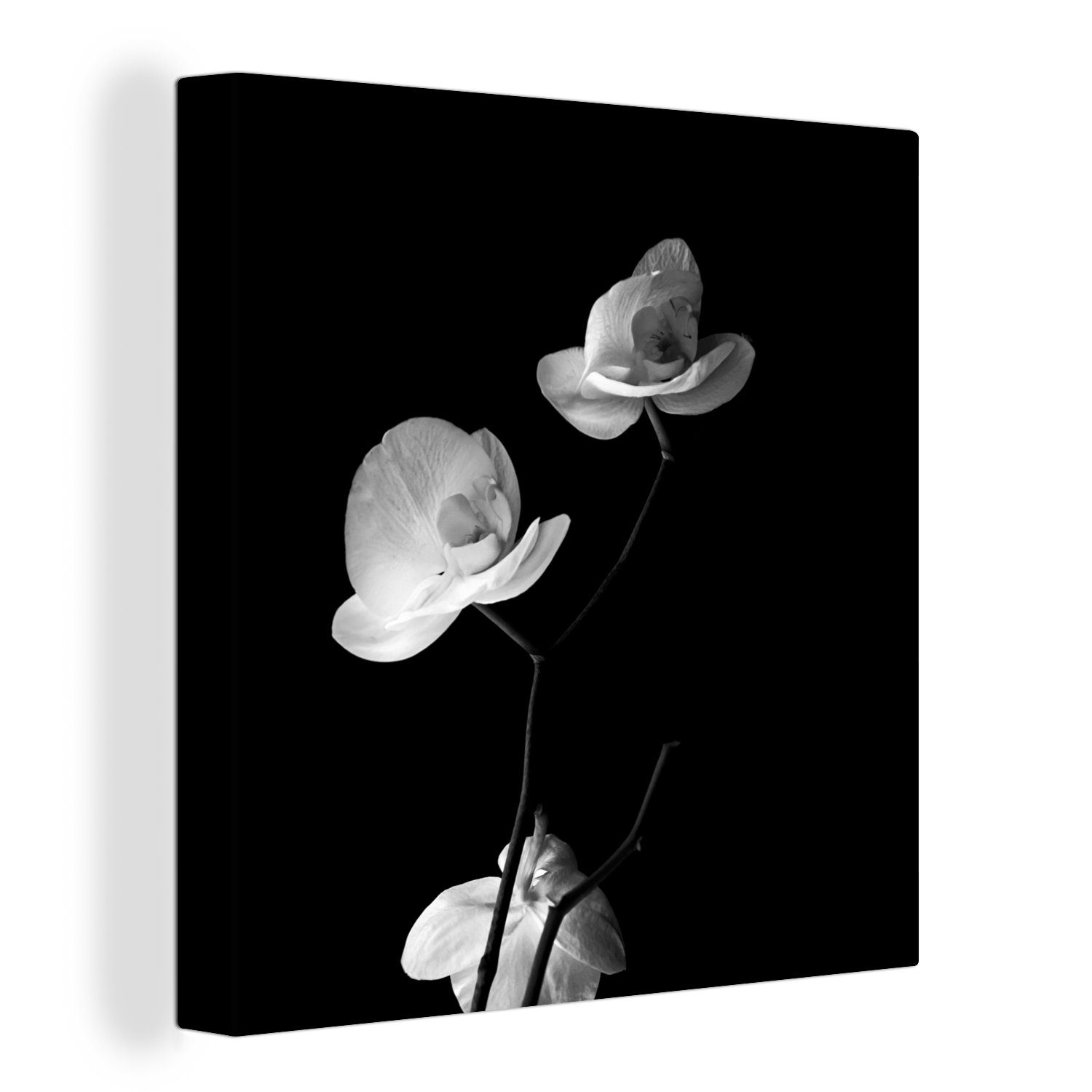 OneMillionCanvasses® Leinwandbild - bunt - Orchidee - Blumen Weiß Schwarz (1 St), Bilder Wohnzimmer für - Leinwand Schlafzimmer Stilleben