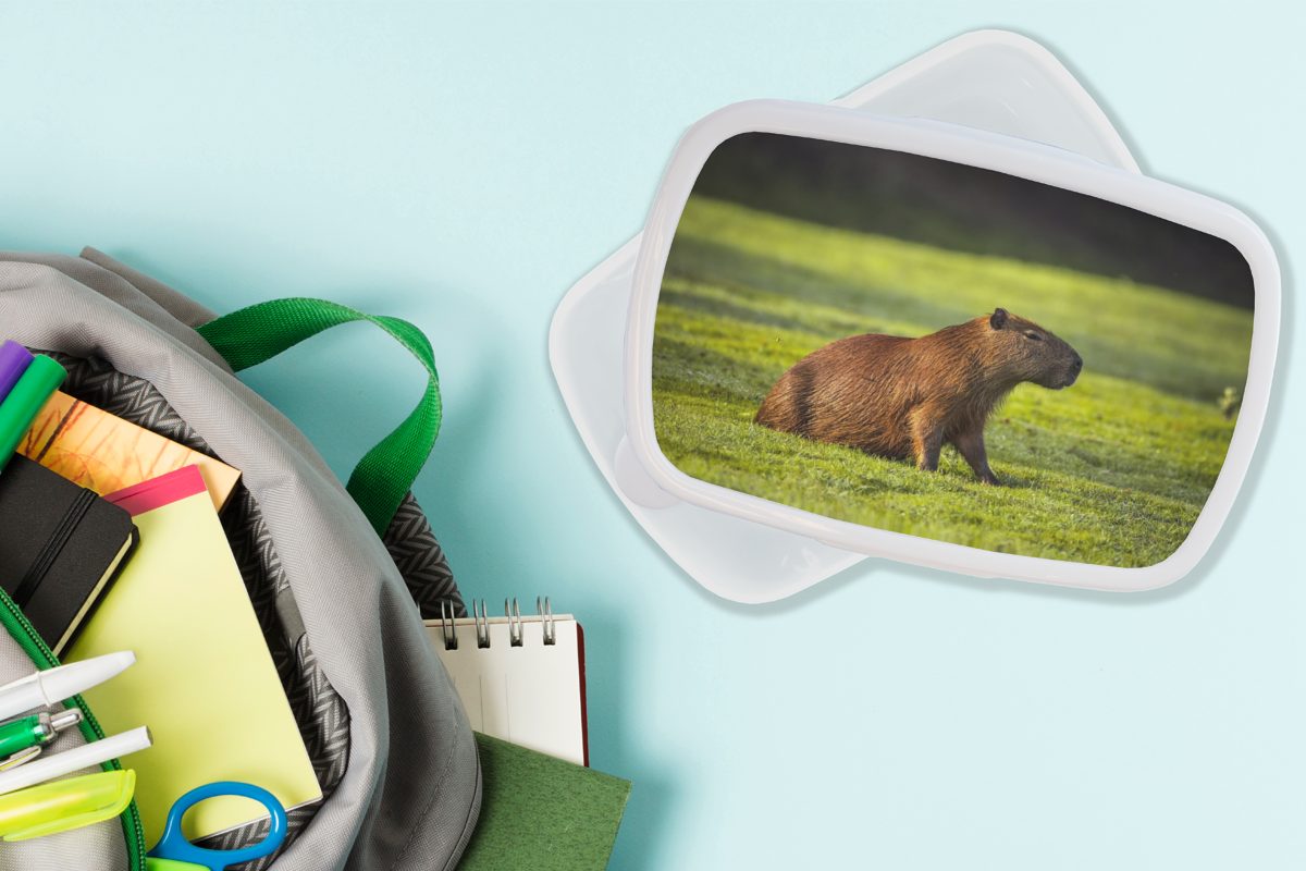 für über Mädchen (2-tlg), und Capybara, Kunststoff, Jungs und weiß dem Lunchbox Brotdose, Goldene Erwachsene, Brotbox MuchoWow für Sonnenstrahlen Kinder