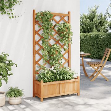 DOTMALL Blumentopf Pflanzgefäß mit Spalier Braune Massivholztanne, 75 x 35 x 150 cm