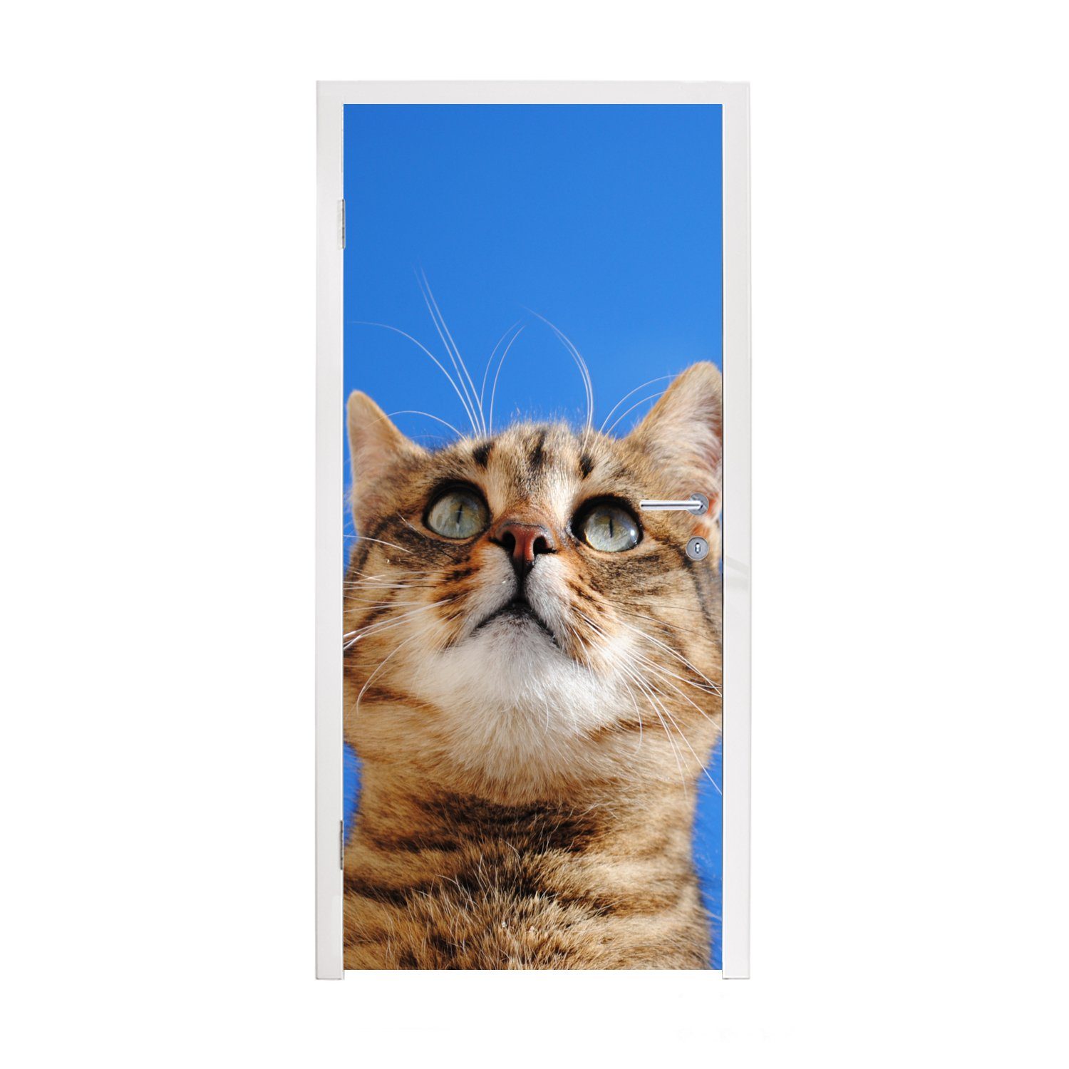 MuchoWow Türtapete Katze - Braun - Luft - Mädchen - Jungen - Kinder, Matt, bedruckt, (1 St), Fototapete für Tür, Türaufkleber, 75x205 cm