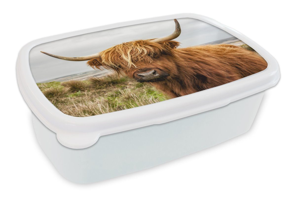 MuchoWow Lunchbox Schottischer Highlander - Kuh - Dünen, Kunststoff, (2-tlg), Brotbox für Kinder und Erwachsene, Brotdose, für Jungs und Mädchen weiß