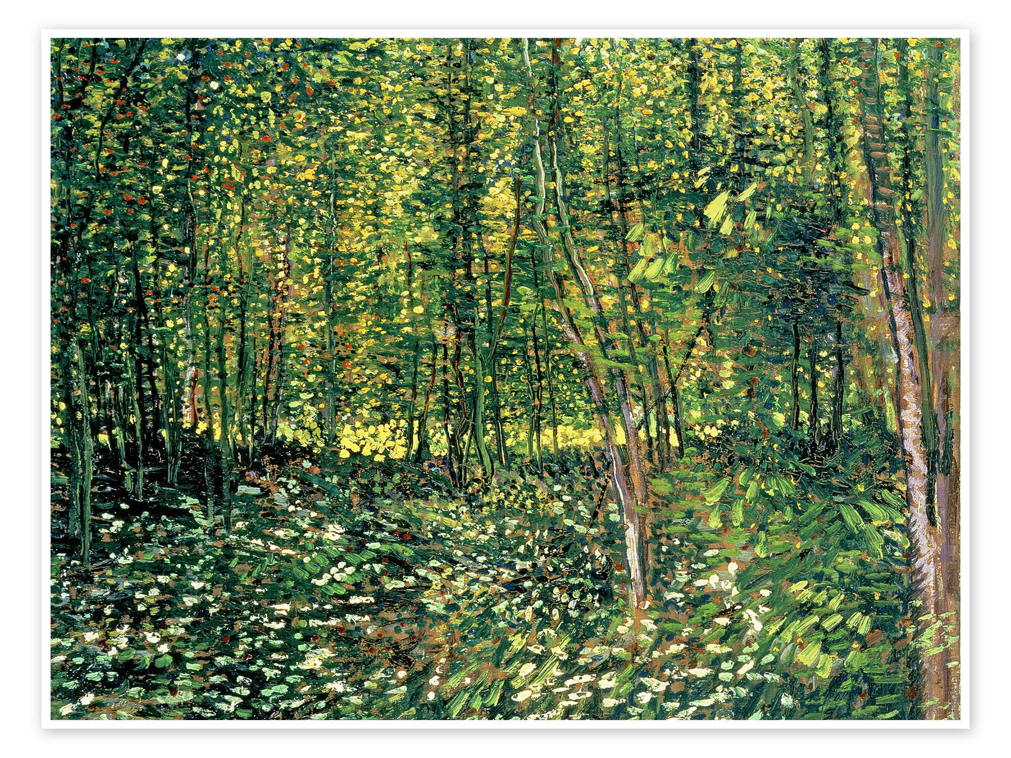 Posterlounge Wandbild Bäume und Unterholz, Vincent van Gogh, erhältlich als Poster, Leinwandbild, Wandsticker oder Acrylglasbild