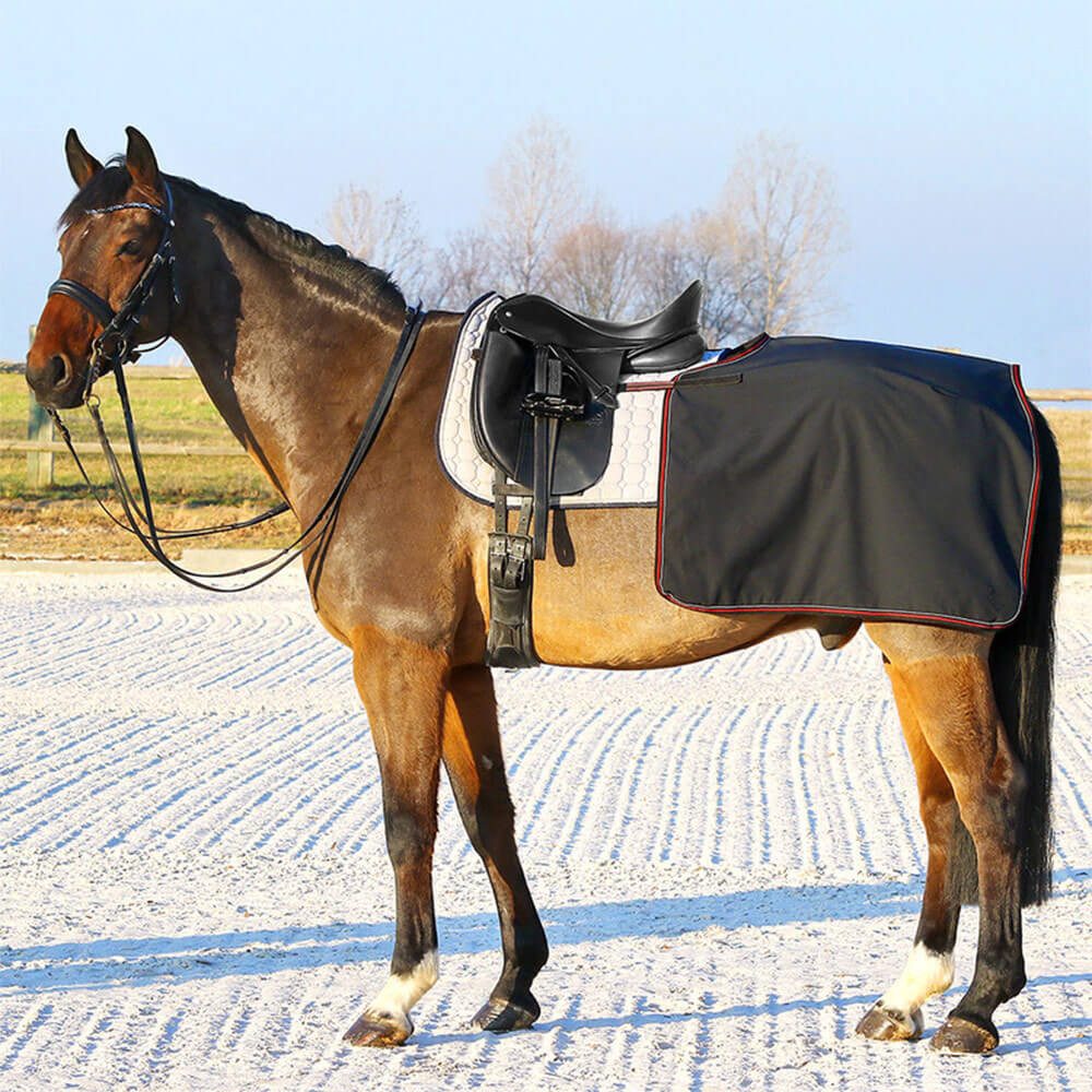 Euroriding Pferde-Nierendecke Euroriding Softshell Nierendecke