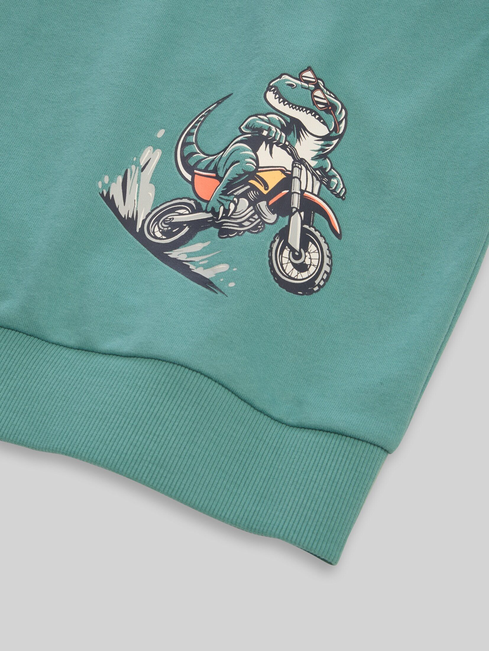 TOM TAILOR Sweatshirt Strick & Sweatshirts Hoodie Sweatshirt mit Rückenprint