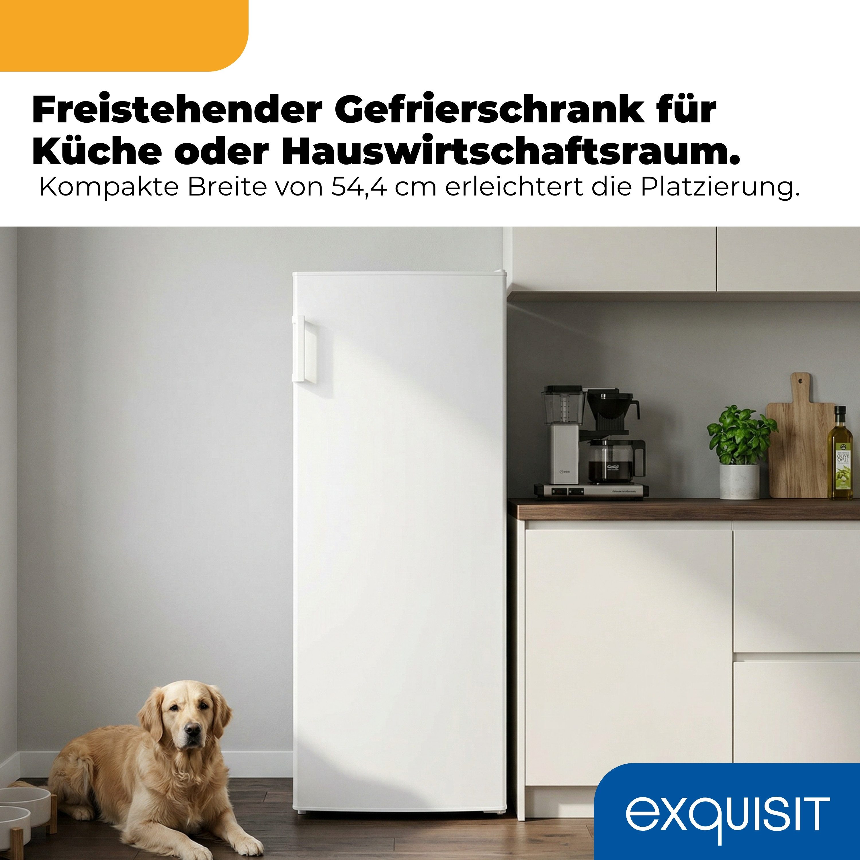 exquisit Gefrierschrank GS5230-H-040D, 142.6 cm hoch, 54.4 cm breit, 4* Gefrieren, Türanschlag wechselbar, Temperraturregelung