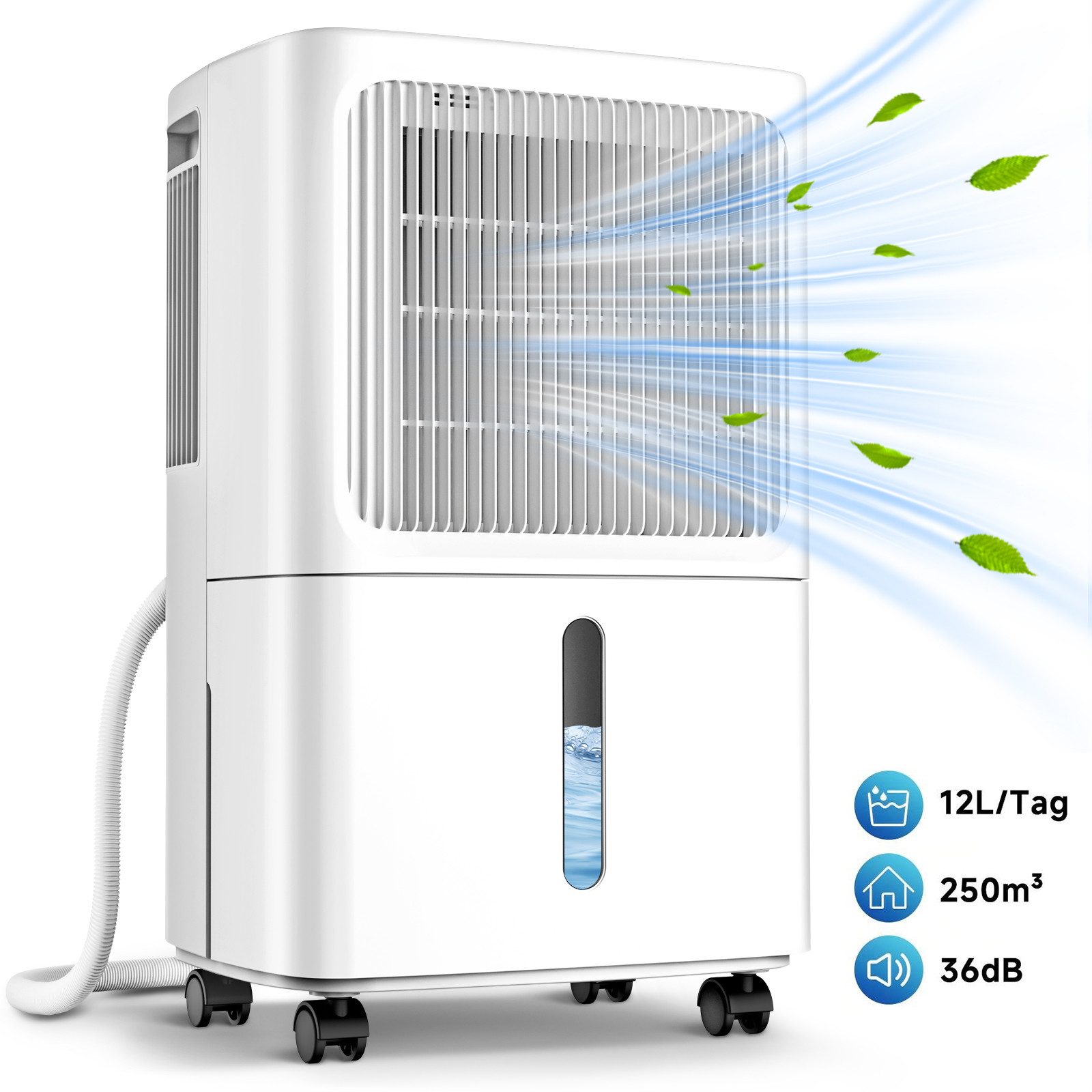 LEENON Luftentfeuchter Luftentfeuchter mit Display,Timer,12L/24H, leise,3 günstig online kaufen