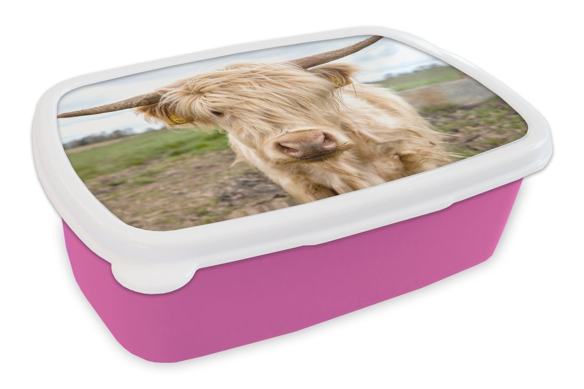 MuchoWow Lunchbox Schottische Highlander - Licht - Landschaft, Kunststoff, (2-tlg), Brotbox für Erwachsene, Brotdose Kinder, Snackbox, Mädchen, Kunststoff rosa