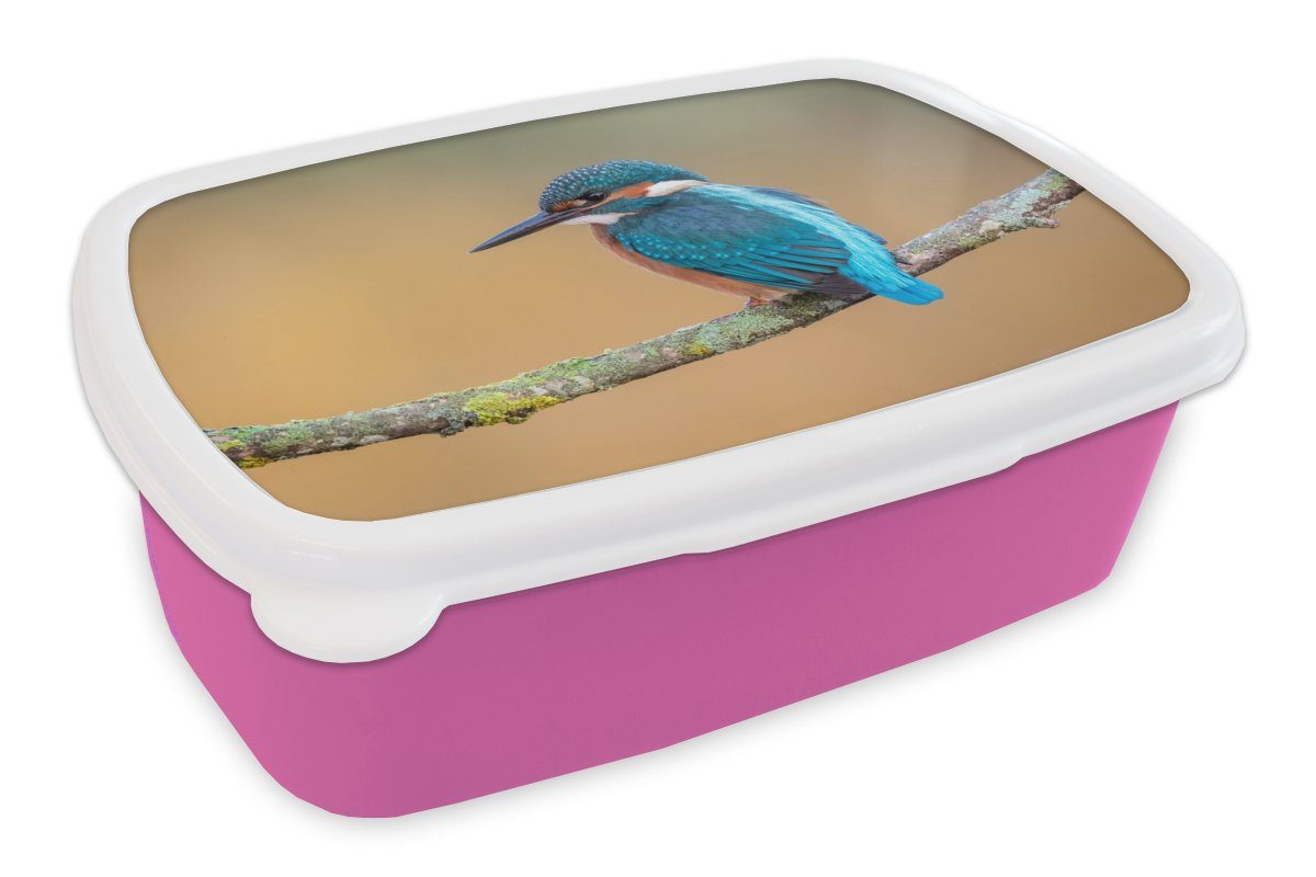 MuchoWow Lunchbox Vogel - Eisvogel - Tiere - Zweig, Kunststoff, (2-tlg), Brotbox für Erwachsene, Brotdose Kinder, Snackbox, Mädchen, Kunststoff rosa | Lunchboxen