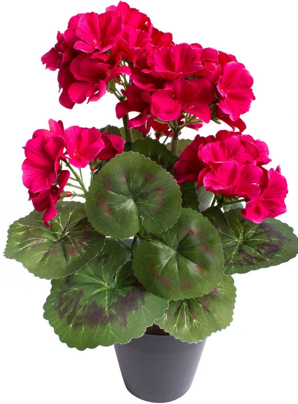 Kunstblume Geranienbusch mit 6 Blütenköpfen, Botanic-Haus, günstig online kaufen