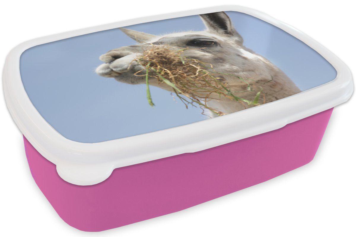 MuchoWow Lunchbox rosa Brotbox Kunststoff (2-tlg), Mädchen, Brotdose Lebensmittel, Kunststoff, Alpaka Tier - Kinder, - Snackbox, für Erwachsene,