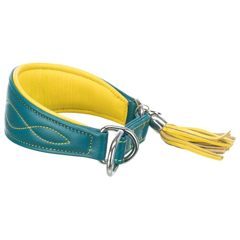 TRIXIE Hunde-Halsband Active Comfort Wind, Leder, mit Anhänger