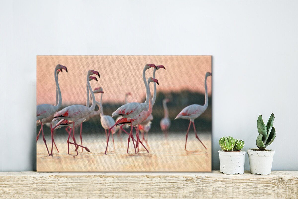 Flamingos Wanddeko, St), cm bei (1 Leinwandbild Sonnenuntergang, Leinwandbilder, OneMillionCanvasses® 30x20 Wandbild Aufhängefertig,
