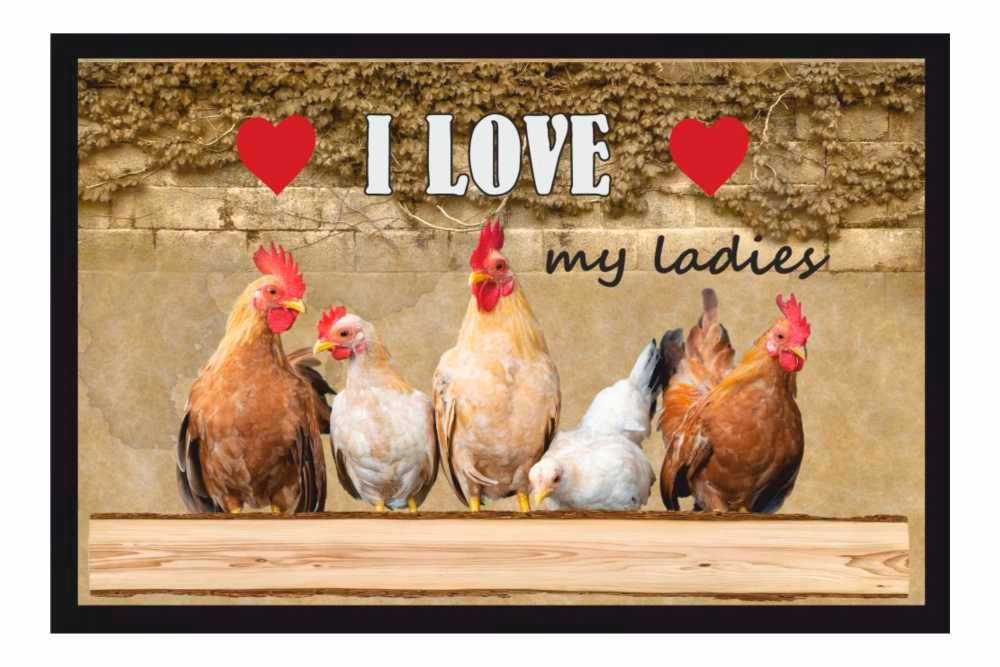 Ladreas Fußmatte Schmutzfangmatte i Love my ladies Hühner F805, 60x40
