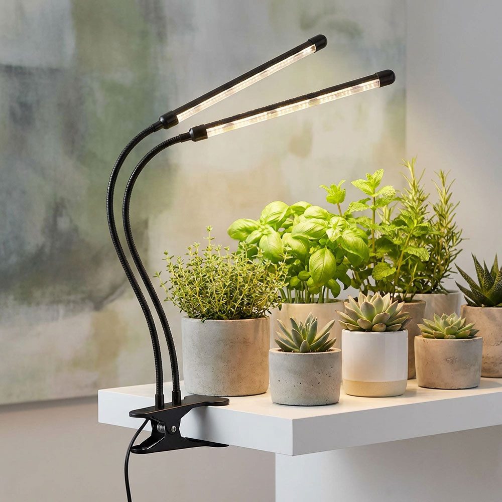 GLOBO LIGHTING LED Klemmleuchte, LED-Leuchtmittel fest verbaut, Kaltweiß, Tageslichtweiß, Klemmstrahler Pflanzenlampe Wachstumslampe IP44 Tischlampe Dimmer