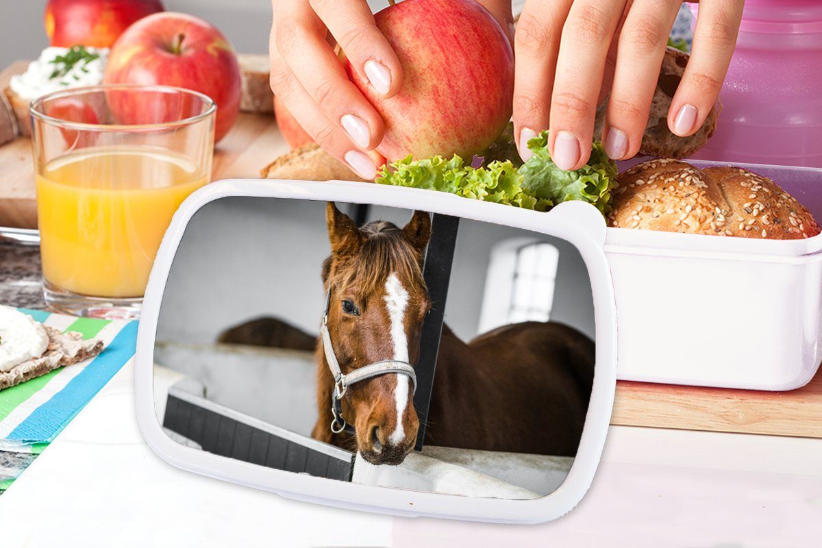 MuchoWow Lunchbox Pferd - Braun und - weiß Stall, für Brotdose, Kunststoff, Brotbox für und Erwachsene, Mädchen Kinder Jungs (2-tlg)