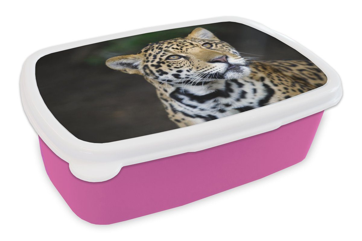 MuchoWow Lunchbox Leopard - Kopf - Wald, Kunststoff, (2-tlg), Brotbox für Erwachsene, Brotdose Kinder, Snackbox, Mädchen, Kunststoff rosa