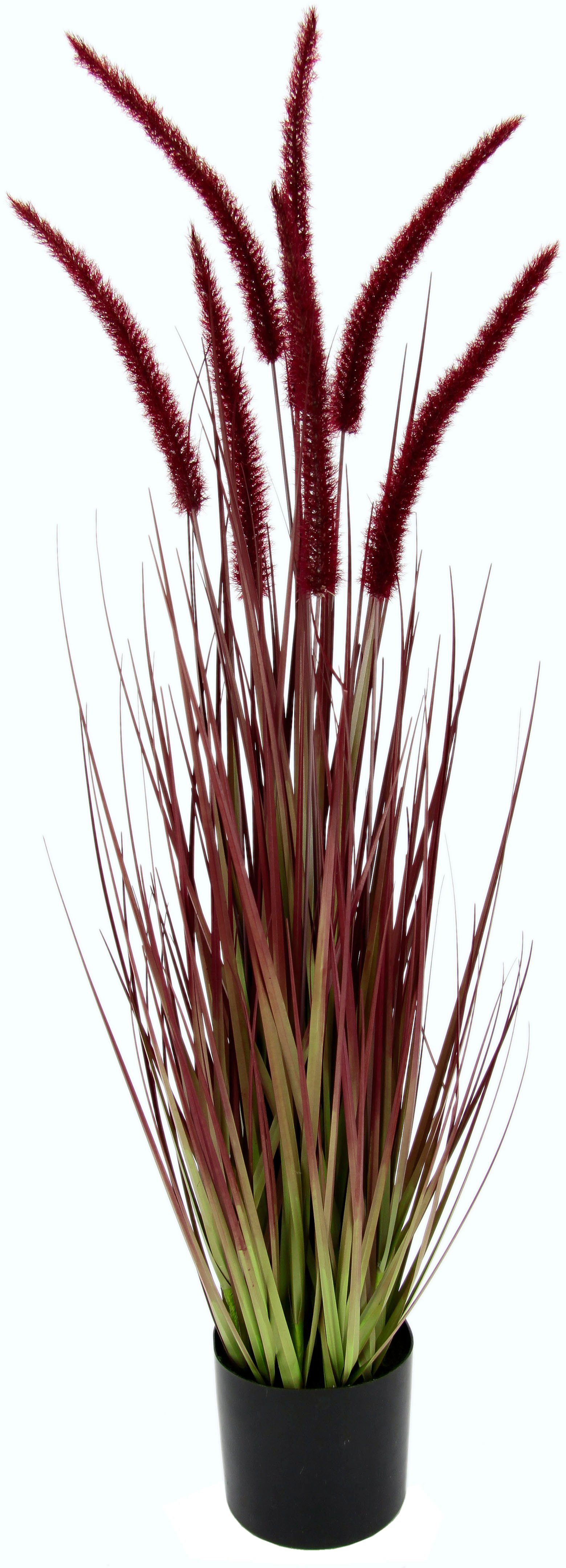 Kunstpflanze Fuchsschwanzgras