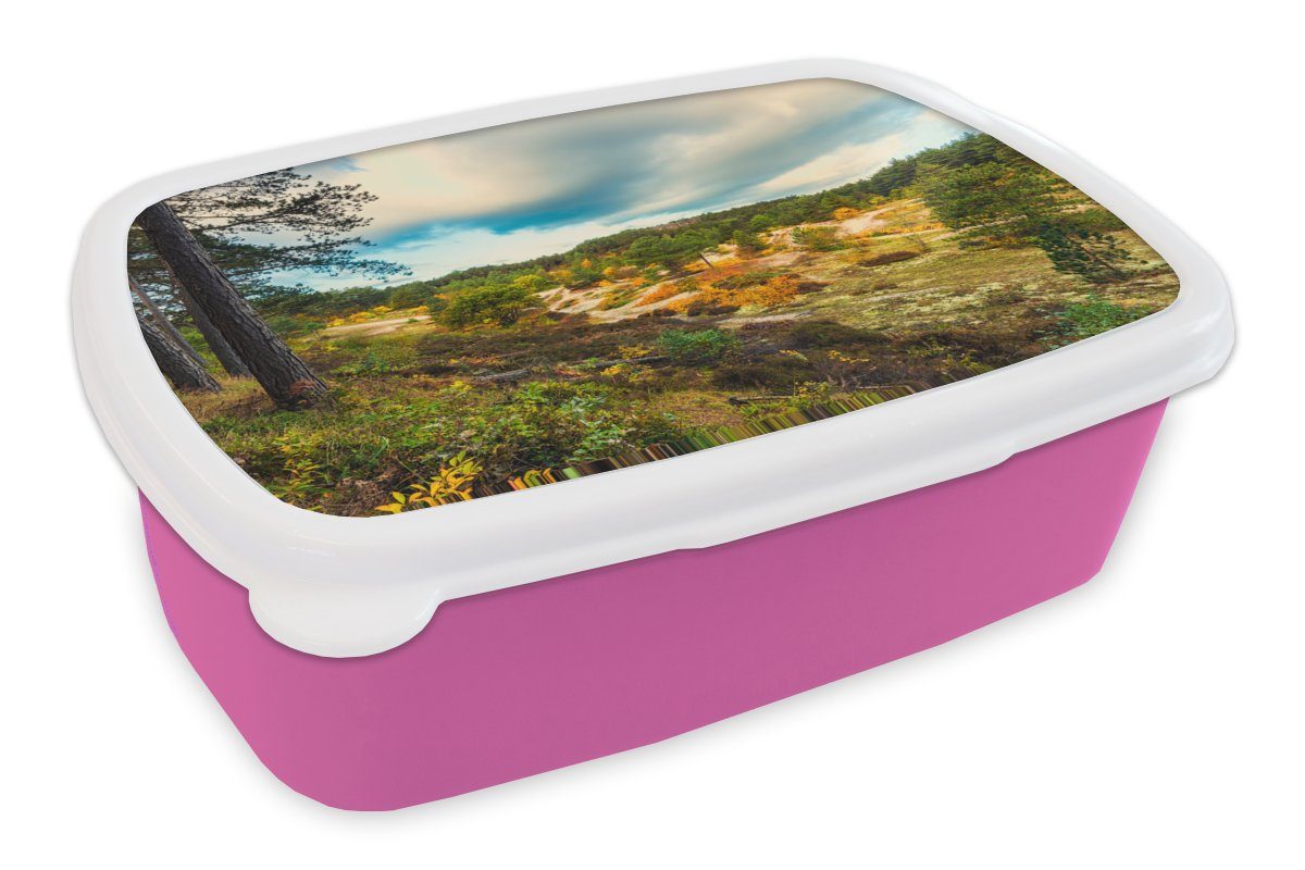 Kunststoff Brotdose MuchoWow in Snackbox, für Erwachsene, Lunchbox Tal Dünen, Kunststoff, den bei Mädchen, (2-tlg), Brotbox Schoorl rosa Kinder,
