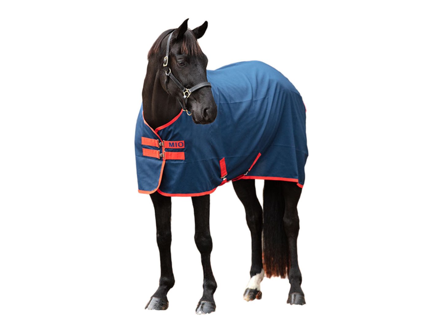 Horseware Pferde-Stalldecke Stalldecke Mio Stable Sheet in Navy/Red