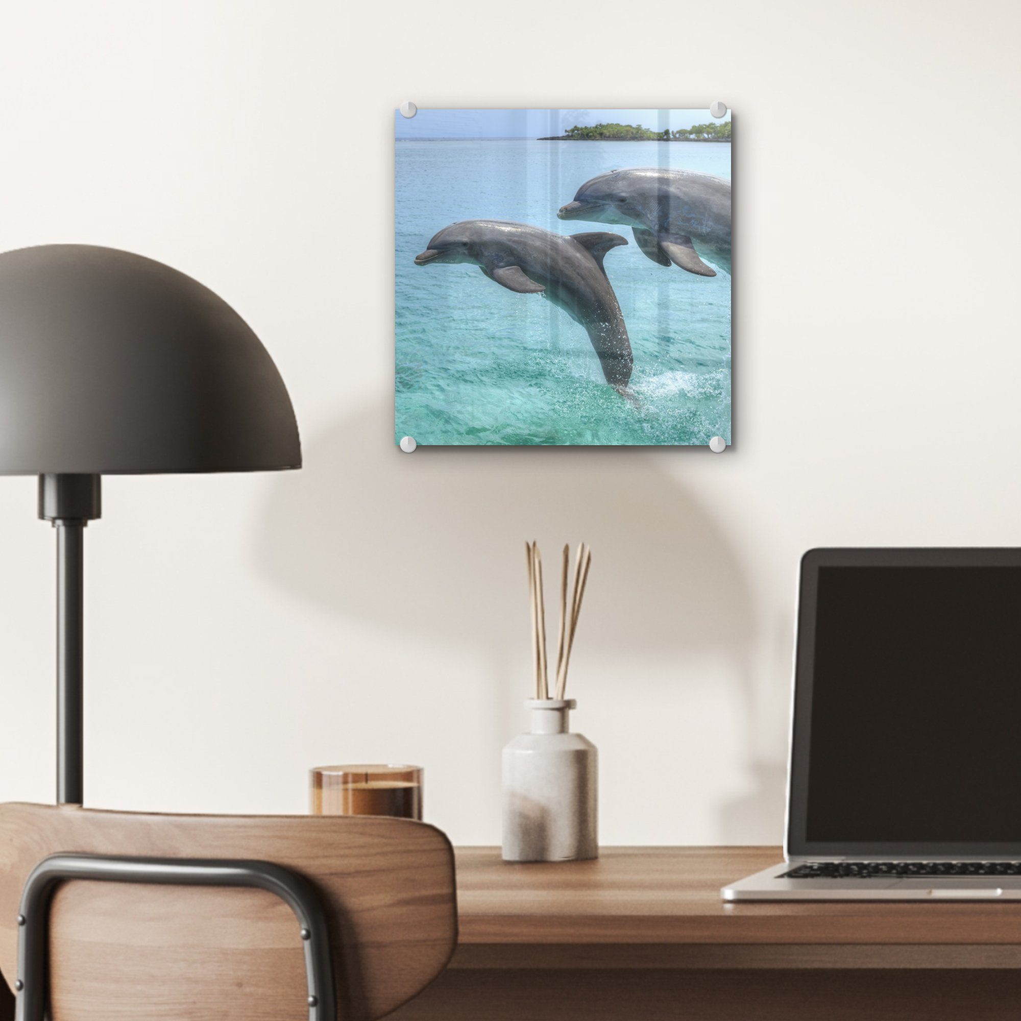 MuchoWow Acrylglasbild Delfine vor den Glas auf (1 auf Bilder Bay - Islands, - Wandbild Glasbilder St), Glas Wanddekoration - Foto