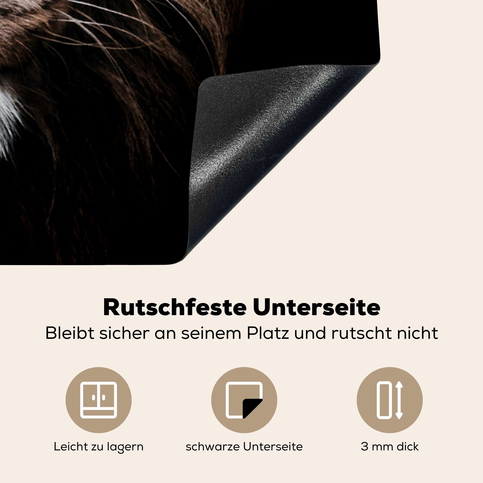 MuchoWow Herdblende-/Abdeckplatte Löwe - Tiere 78x78 (1 cm, Schwarz, Arbeitsplatte - küche Ceranfeldabdeckung, tlg), für Vinyl