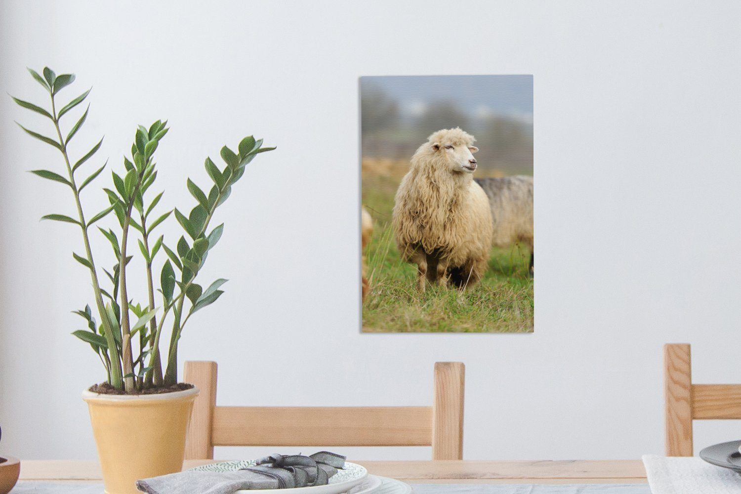 cm Zackenaufhänger, bespannt Leinwandbild (1 fertig 20x30 St), Gras, - - OneMillionCanvasses® Wolle Schafe Leinwandbild inkl. Gemälde,