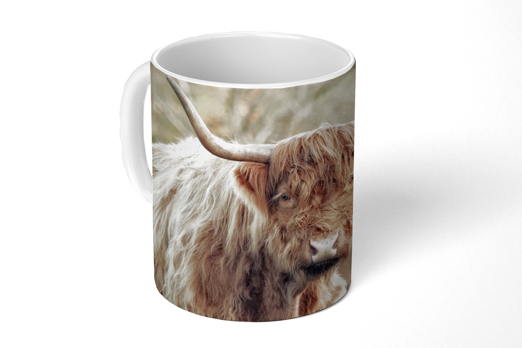 MuchoWow Tasse Scottish Highlander Bull - Natur - Herbst, Keramik, Kaffeetassen, Teetasse, Becher, Teetasse, Geschenk