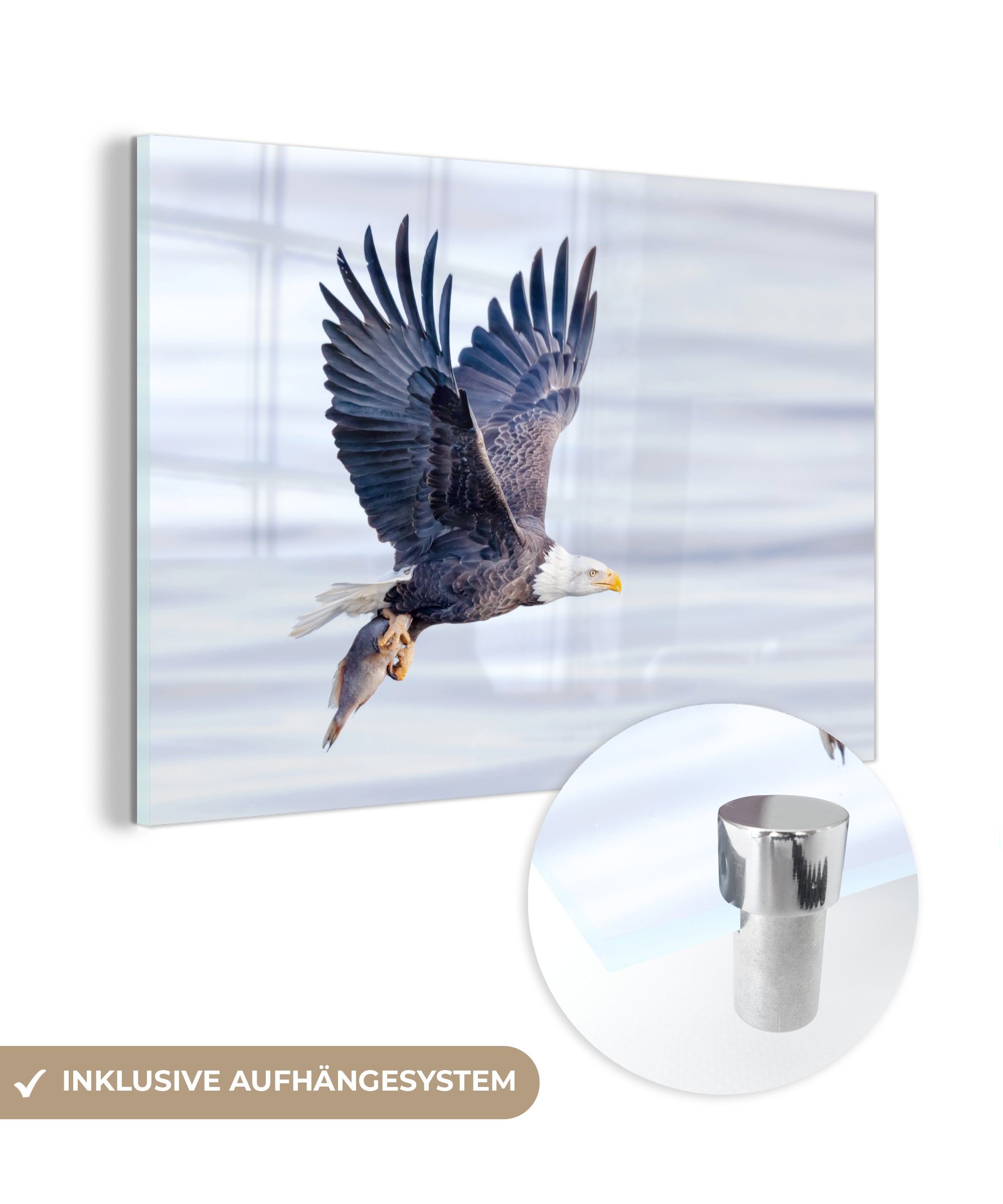 MuchoWow Acrylglasbild Adler mit Fisch über dem Wasser, (1 St), Acrylglasbilder Wohnzimmer & Schlafzimmer