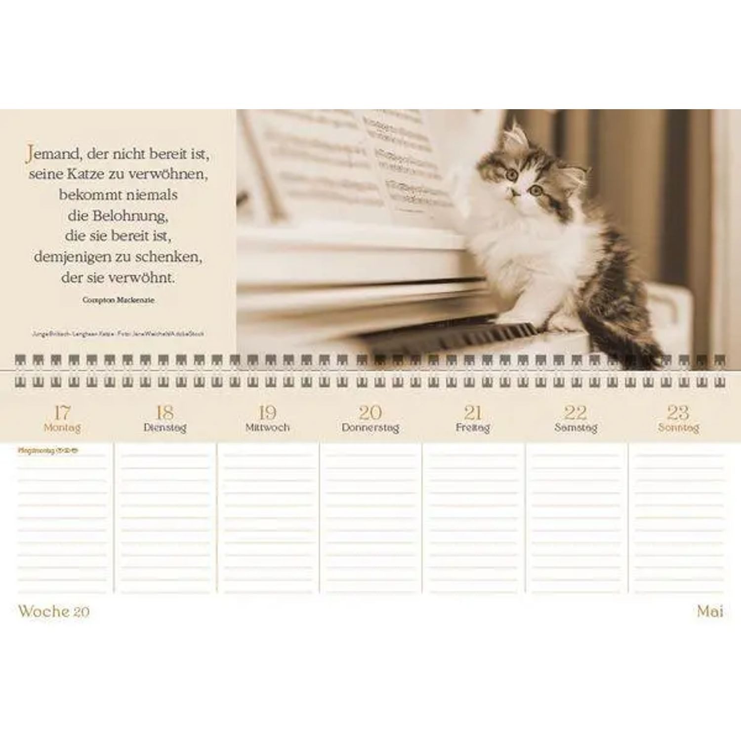 Korsch Verlag Querkalender Der literarische Katzenplaner Tischquerkalender 2027