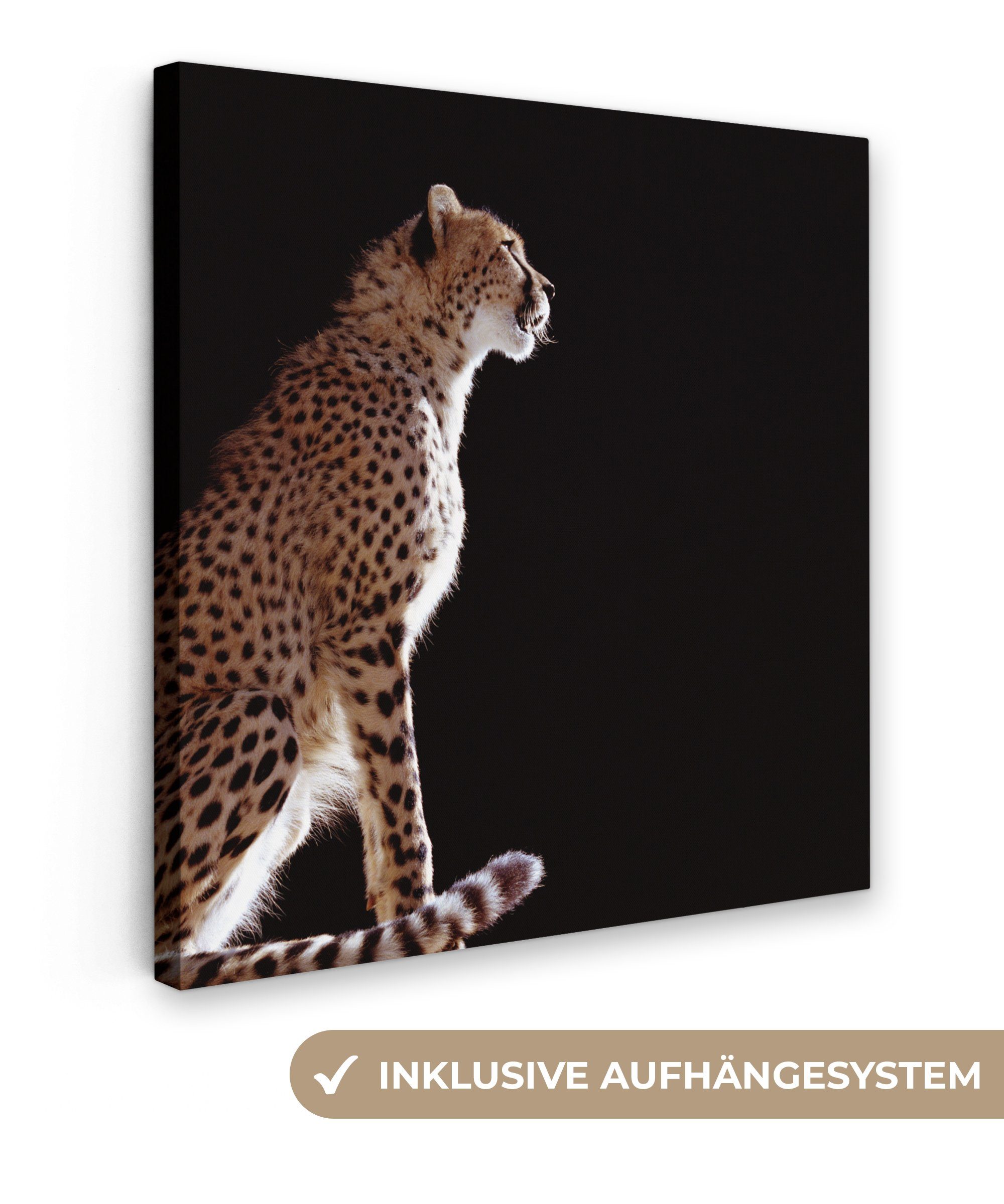 OneMillionCanvasses® Leinwandbild Gepard - Tiere - Licht, (1 St), Leinwand Bilder für Wohnzimmer Schlafzimmer, 20x20 cm
