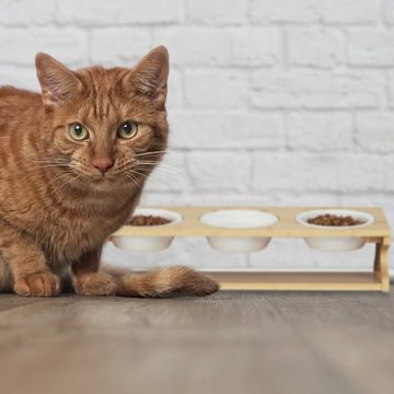 relaxdays Futterstation Katzen Futterstation mit 3 Näpfen